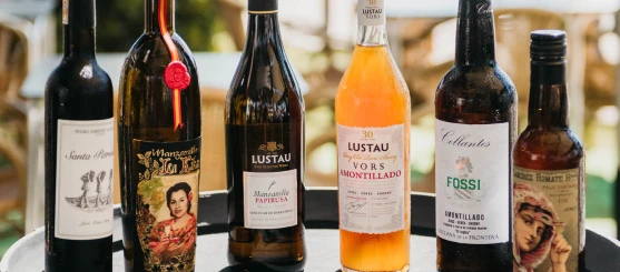 Selección de botellas de vino en Wine Not?, bar de vinos en Chiclana