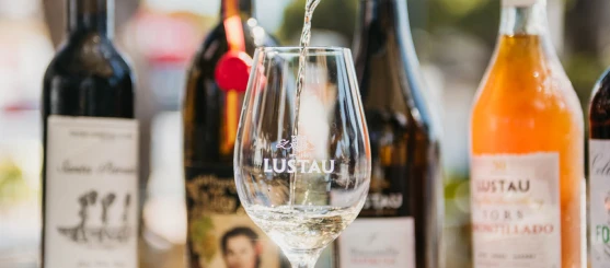 Copas de vino blanco y tinto servidas en el bar Wine Not? en Chiclana de la Frontera