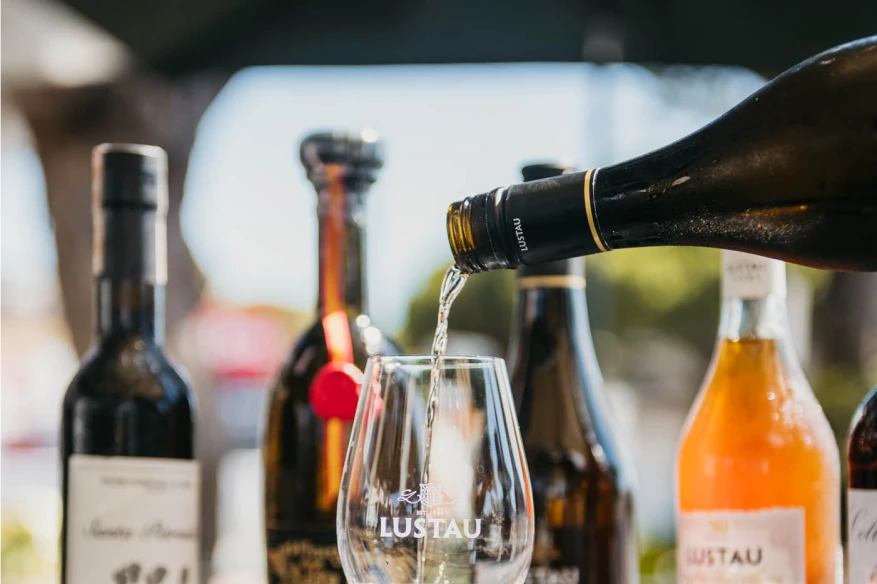 Botellas de vino servidas en Wine Not?, bar especializado en vinos y tapas caseras en Chiclana